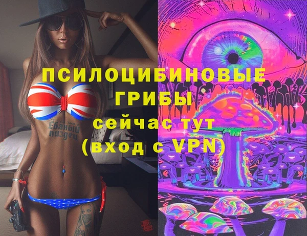 ешки Алексин