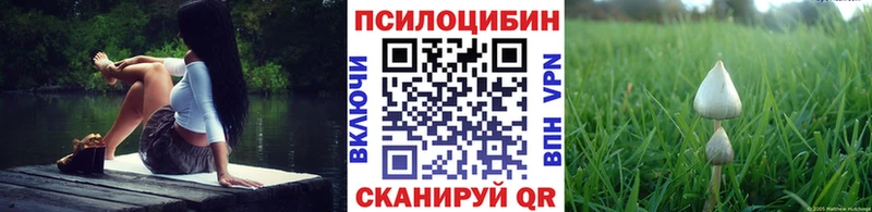Галлюциногенные грибы Magic Shrooms  купить наркоту  Менделеевск 